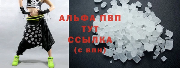 тгк Володарск