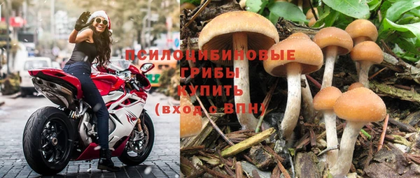 метадон Вяземский