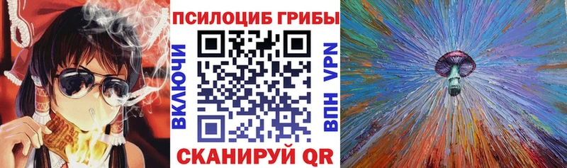 Псилоцибиновые грибы ЛСД  блэк спрут сайт  Егорьевск 